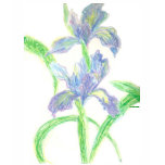 Japanese Irises t-shirts