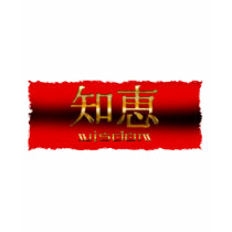 Japanese KANJI for "Wisdom" t-shirts