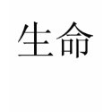 Japanese Life Symbol Tee t-shirts