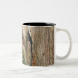 Japanese Macaque Climbing Tree, Eating Leaves Coffee Mugs