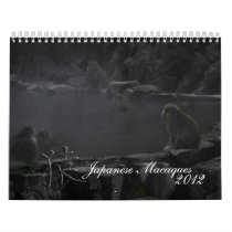 Japanese Macaques Calendar