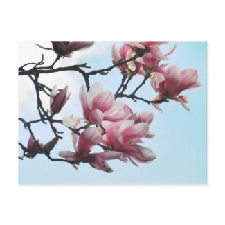 Pink Magnolias Post Card by S.Lynnette