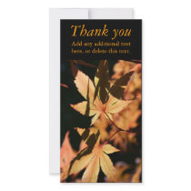 Japanese Maple (1) - Thank You photo cards by PBsecretgarden Japanese Maple (1) - Thank You photo cards