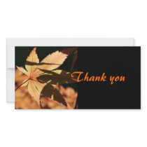 Japanese Maple (2) - Thank you photo cards by PBsecretgarden Japanese Maple (2) - Thank you photo cards
