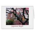 Japanese Maple cards