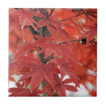 Japanese Maple fall foliage tile trivet