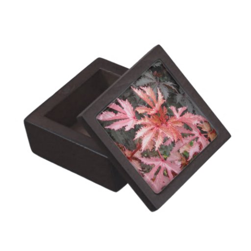Japanese Maple Gift Box Premium Keepsake Box