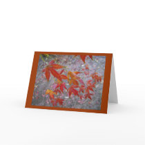 Japanese Maple greeting card by MsMihalov Japanese Maple greeting card