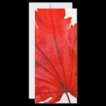 Japanese Maple Leaf rack cards