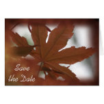 Japanese Maple Leaf Save the Date Announcement Cards