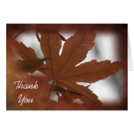 Japanese Maple Leaf Thank You Note Card