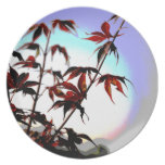 Japanese Maple Spotlight Plate