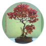 Japanese Maple Round Sticker