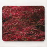 Japanese Maple Tree Mouse pad