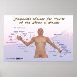 Japanese names for parts of the arms & hands posters