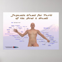 Japanese names for parts of the arms & hands print