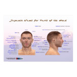 Japanese Names for Parts of the Head Poster