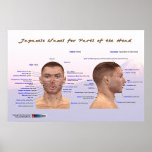Japanese Names for Parts of the Head Poster
