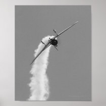 Japanese Navy Aichi D3A Dive Bomber posters