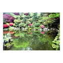 Japanese Oasis posters by mjhphotography Japanese Oasis posters