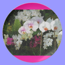 Japanese Orchids plates