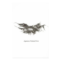 Japanese Painted fern posters by ricash Japanese Painted fern posters
