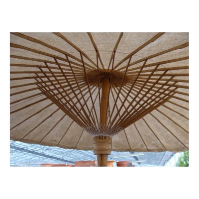 Japanese Paper Umbrella Print by MisawaLife