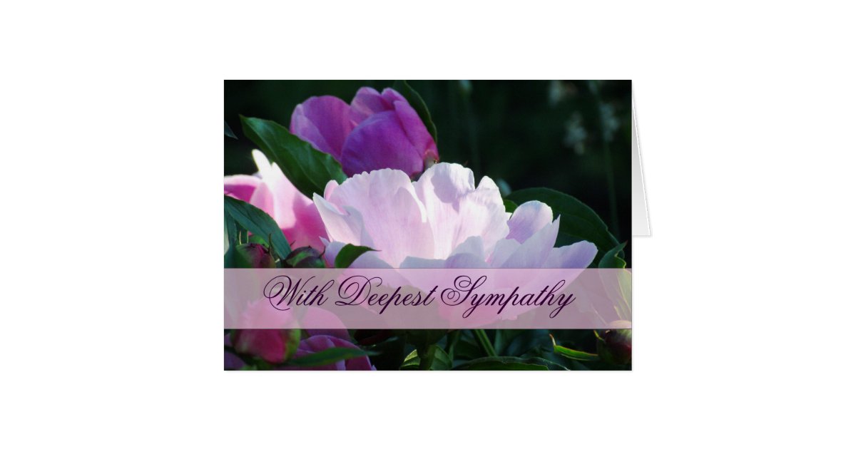 Japanese Peony Sympathy Card Zazzle