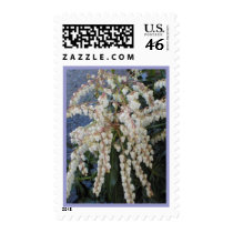 Japanese Pieris postage