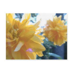 japanese roses postcards