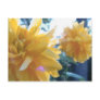 japanese roses postcards