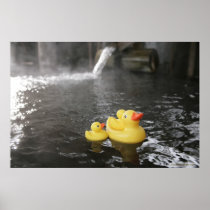 Japanese Rubber Duckies