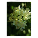 Japanese Snowball Greeting Cards