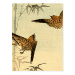 Japanese Sparrows no.1 Postcards