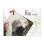 Japanese-style photograph New Year's greeting card