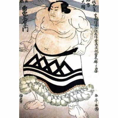 Japanese sumo-wrestler polo by LisasLair