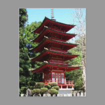 Japanese Teahouse, Balboa Park Postcard