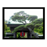 japanese tree postcards