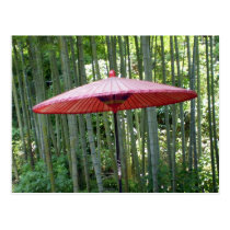Japanese umbrella among the bamboo postcards