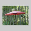 Japanese umbrella among the bamboo postcards by muiling Japanese umbrella among the bamboo postcards