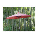 Japanese umbrella among the bamboo postcards by muiling Japanese umbrella among the bamboo postcards