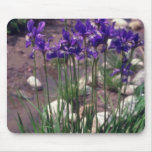 Japanese Waterlily, (Iris) flowers Mouse Pads