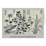 japonica, flowers, anemone, by, tachibana,