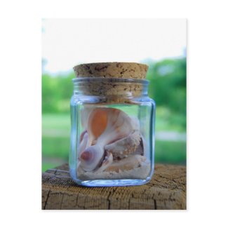 Jar of Sea Shells Postcard postcard