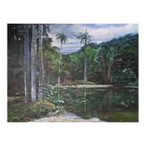 Jardin de Botanica in Rio de Janeiro (Pond) posters
