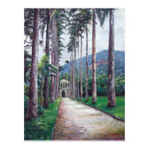 Jardin de Botanica in Rio de Janeiro posters