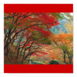 Jardin Multicolor Jardin Multicolor