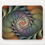 rainbow, spiral, flower, petals, bright, tropical,