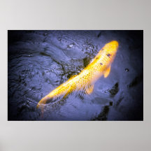 Jardines de Kanapaha - poster 001