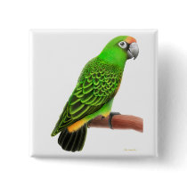 Jardines Parrot Pin buttons by twopurringcats Jardines Parrot Pin buttons